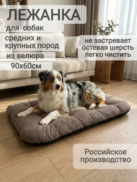 Felicette Лежанка для средних и больших пород собак 90х60см
