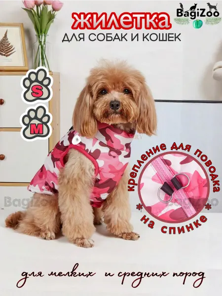 BagiZoo Жилет для собак и кошек