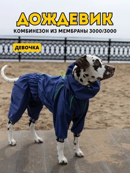 Rain Dog Комбинезон-дождевик для собак "Торнадо" женский синий джинс