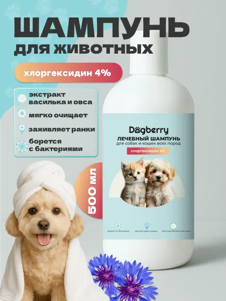 Dogberry Шампунь для собак и кошек с хлоргексидином