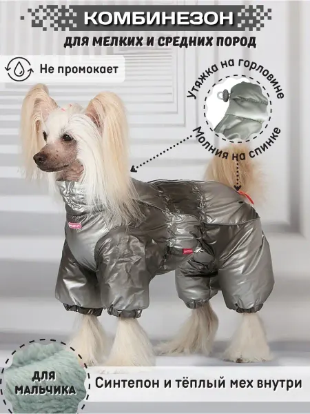 ForMyDogs Зимний комбинезон для собак мелких пород мальчик