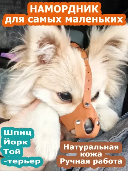 HAPPY WHISKELLE Намордник для собак мелких пород