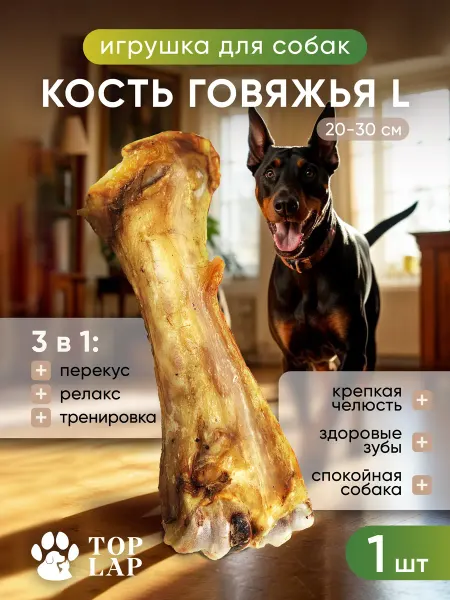 Top Lap Игрушка для собак натуральная - говяжья кость средняя