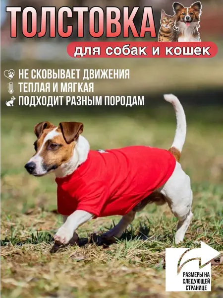 Napa_imprint Толстовка для собак и кошек мелких и средних пород