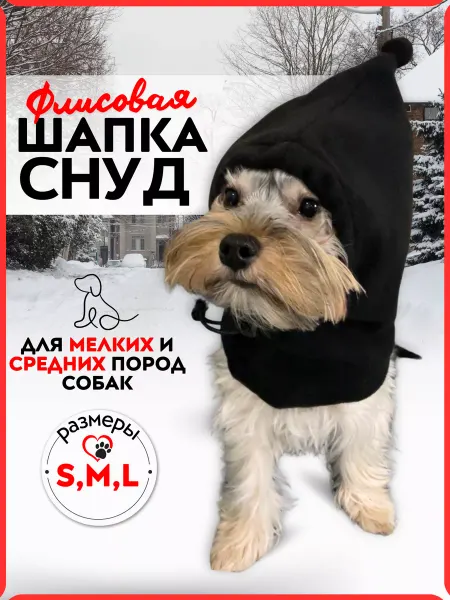 NBA Pro Шапка для животных собак