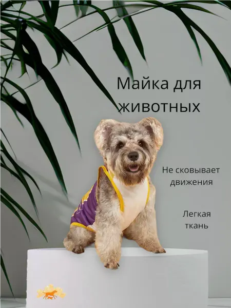 PetBurg Майка для собак и кошек, футболка для животных