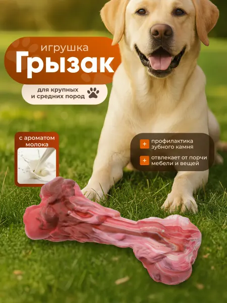 SSY Игрушка для собак крупных пород кость прочная