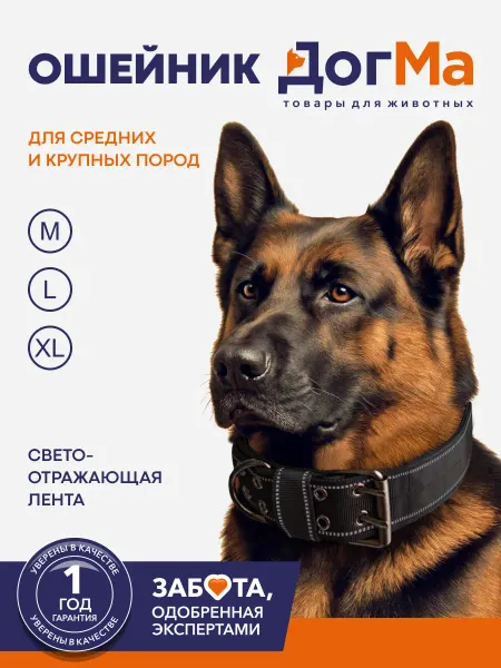 Tilosophy Ошейник для собак крупных и средних пород