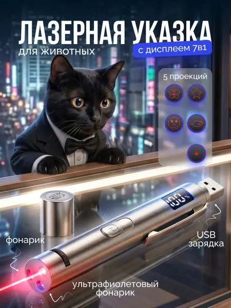 Лазерная указка для кошек с дисплеем и usb зарядкой