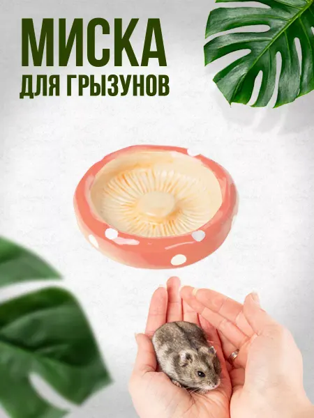 ЗВЕРУТТИ Миска для грызунов керамическая