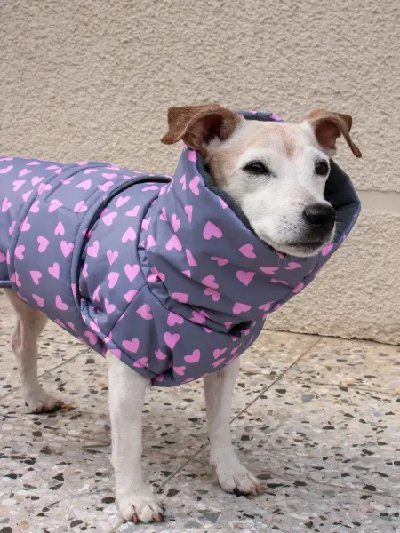 LuckyDogMsk Попона для собак