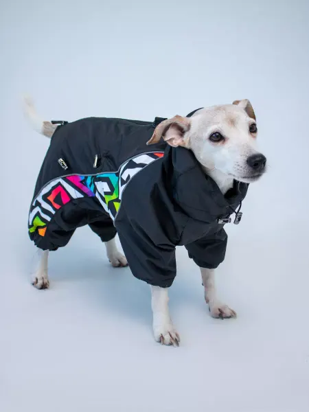 LuckyDogMsk Дождевик для собак