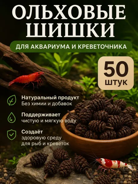 Ольховые шишки для аквариума 50 штук
