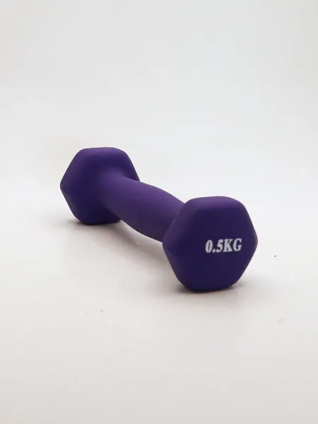 1000 Каталог Гантель фиолетовая 0,5 кг