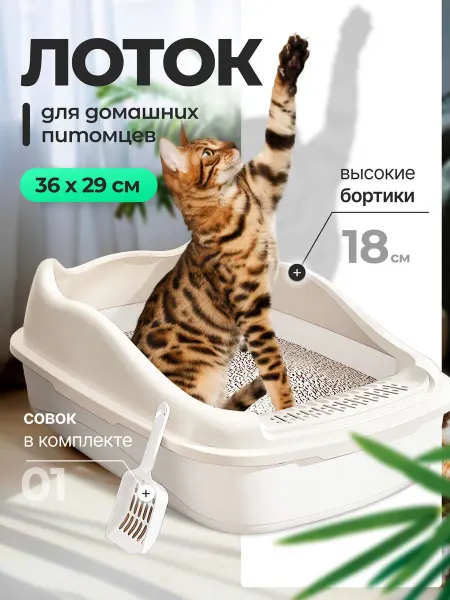 Лоток с высоким бортом для больших кошек