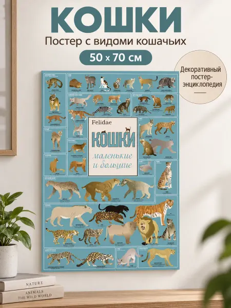 OQprint Постер «Кошки большие и маленькие» 50х70