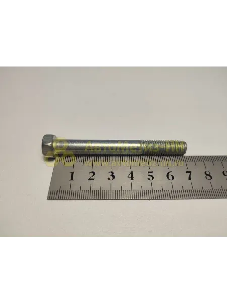 КРАСНАЯ ЭТНА Болт М8х1,25х70 ФТО 10 шт