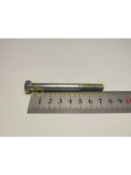 КРАСНАЯ ЭТНА Болт М8х1,25х75 ФТО 402 дв 10 шт