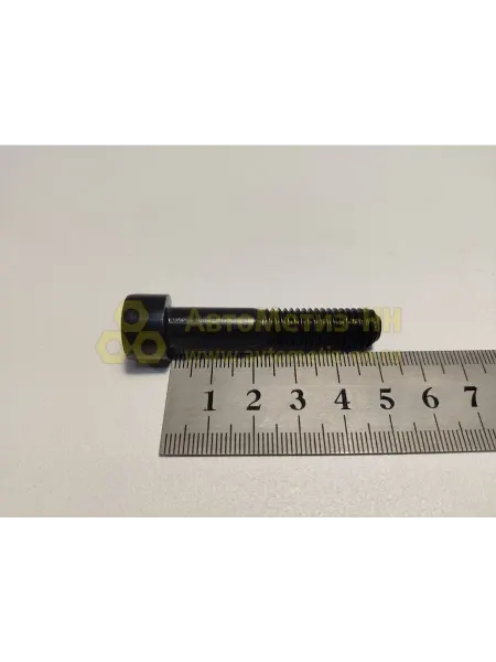 БЕЛЗАН Винт М10х1,5х50 внутр шестигран черный 10 шт